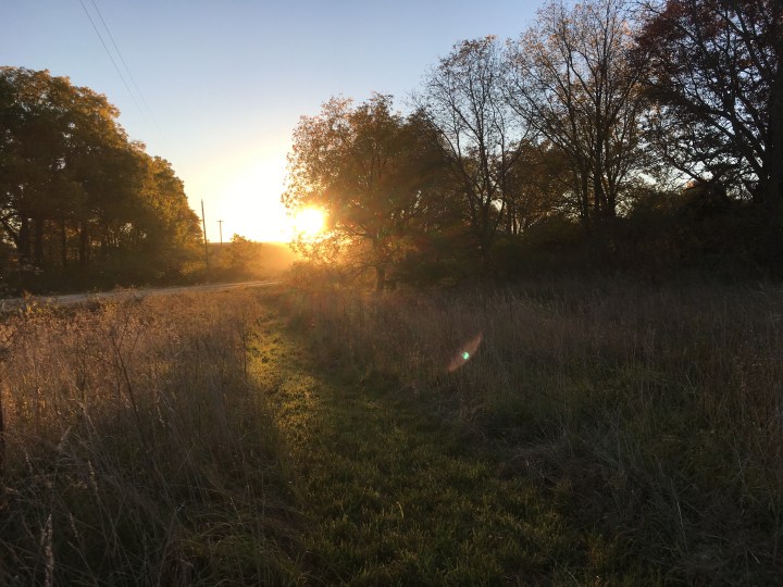 I’m Thankful for&nbsp;2020