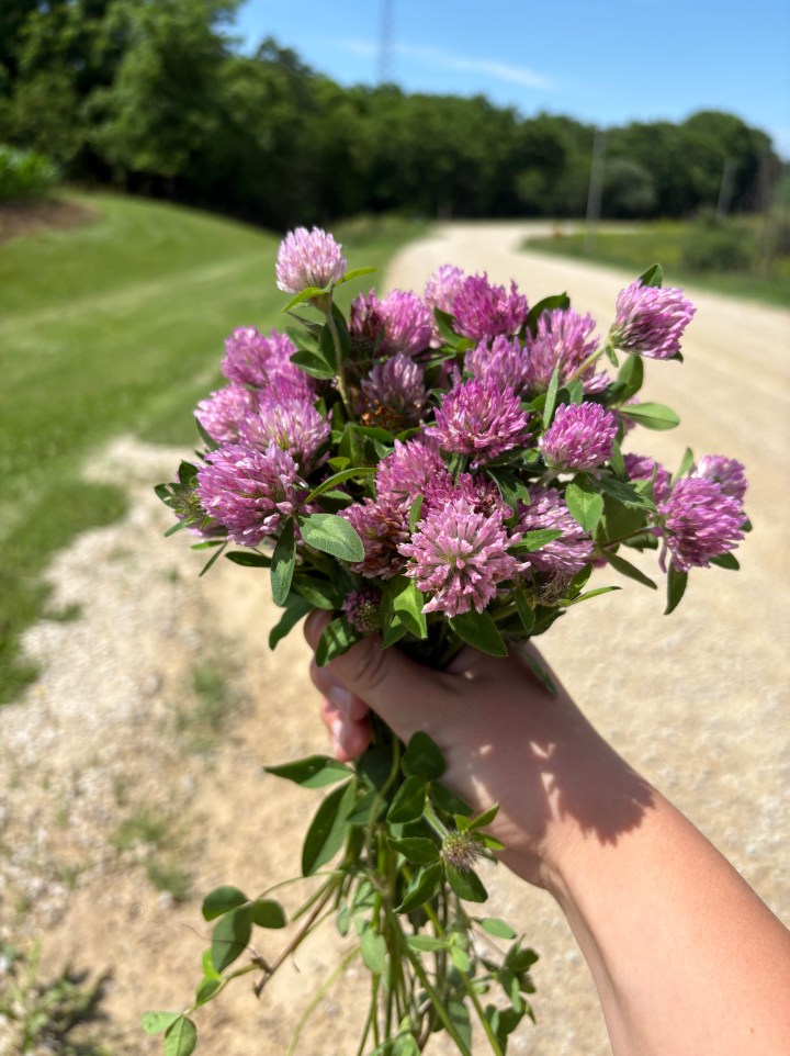 June memories –&nbsp;2025