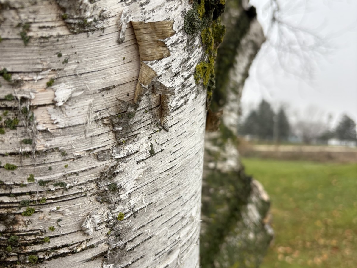 November memories –&nbsp;2025