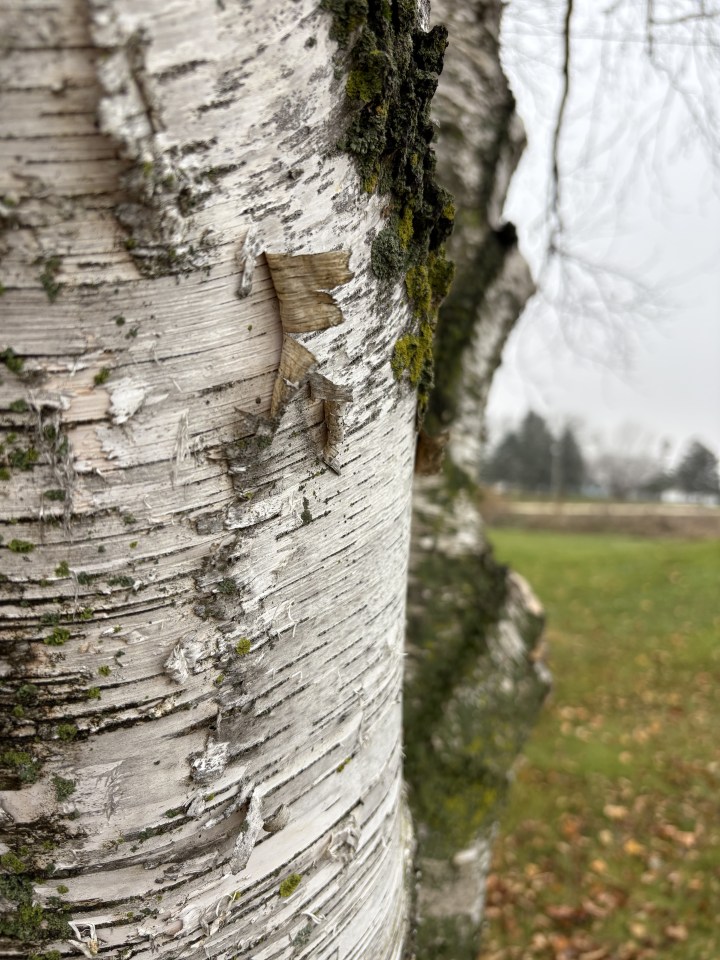 November memories –&nbsp;2025