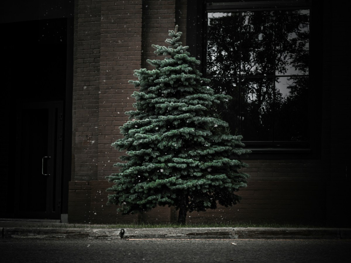 caskets and Christmas – a (very) small&nbsp;essay