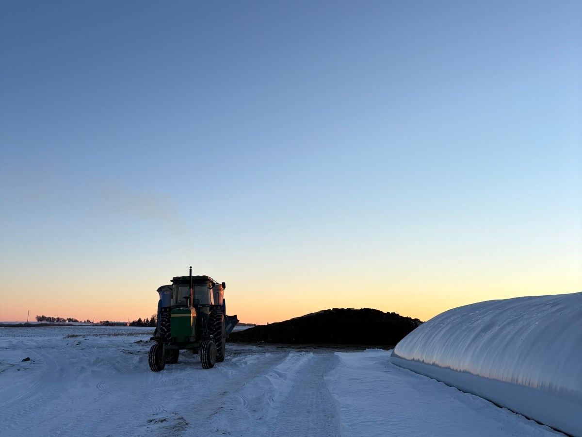 December memories –&nbsp;2025