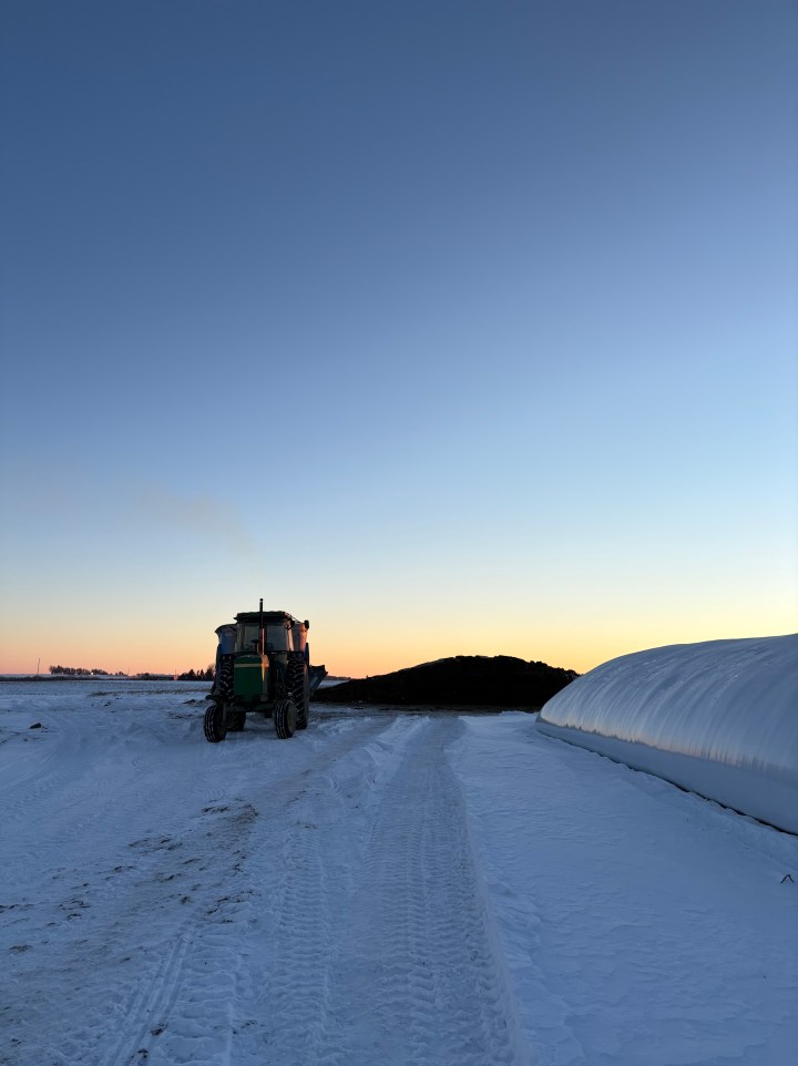 December memories –&nbsp;2025