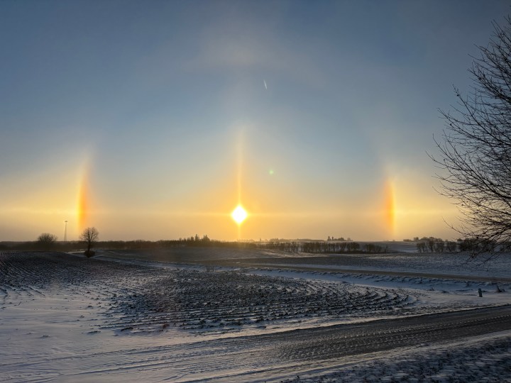 January memories –&nbsp;2026