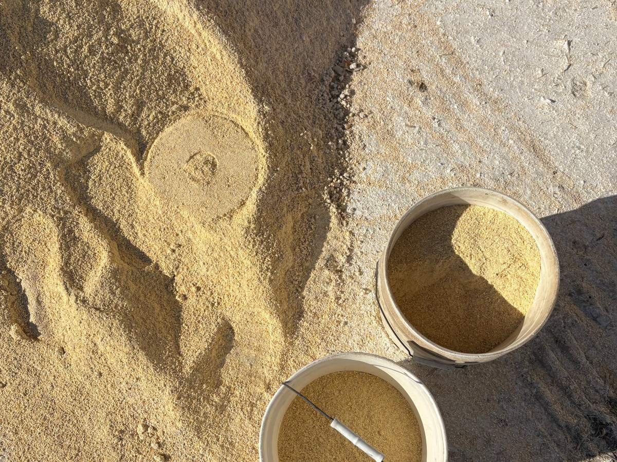 February memories –&nbsp;2026