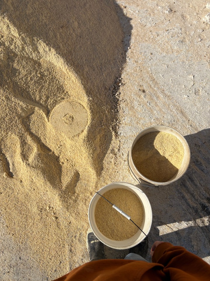 February memories –&nbsp;2026