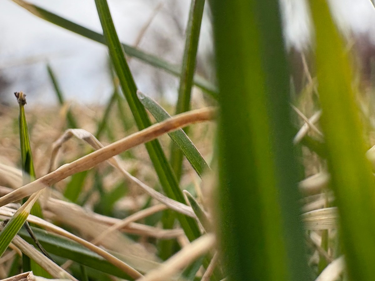 March memories –&nbsp;2026