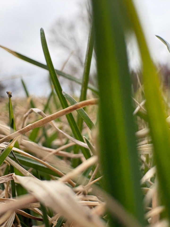 March memories –&nbsp;2026